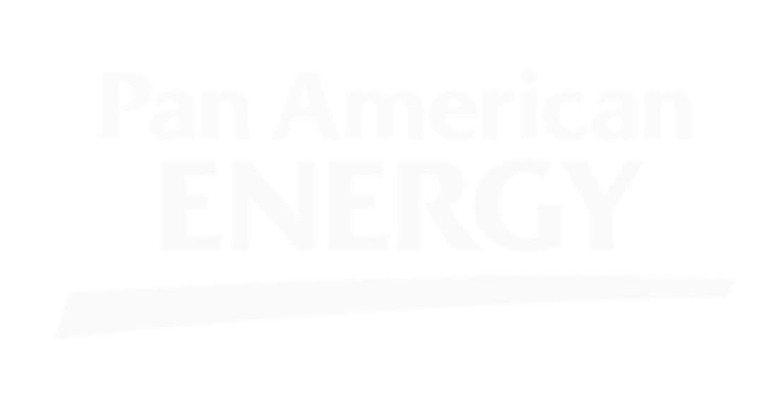 logo-transparente-pan-america