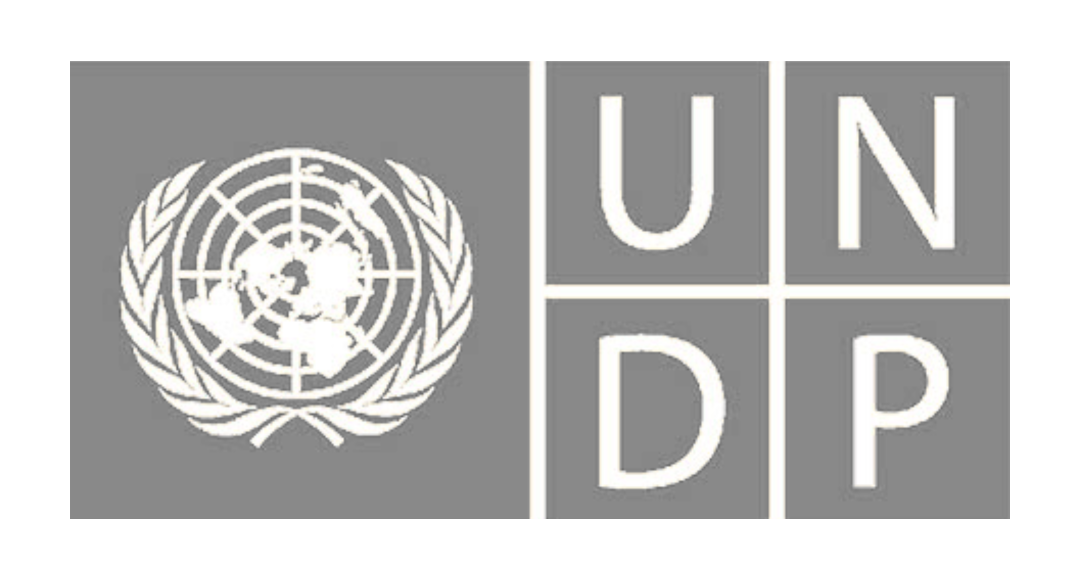 logo-transparente-undp